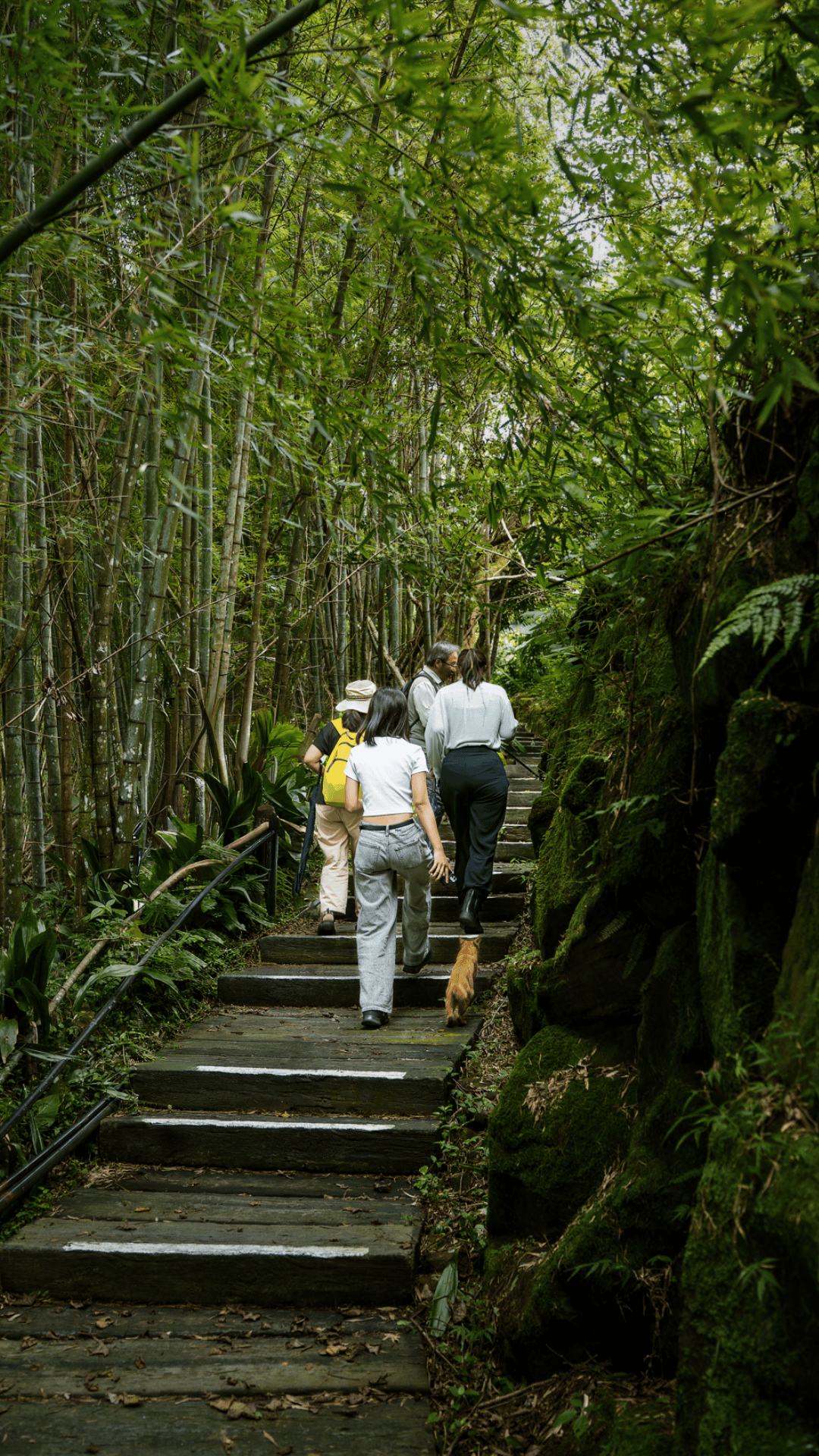 龍銀山步道健行導覽